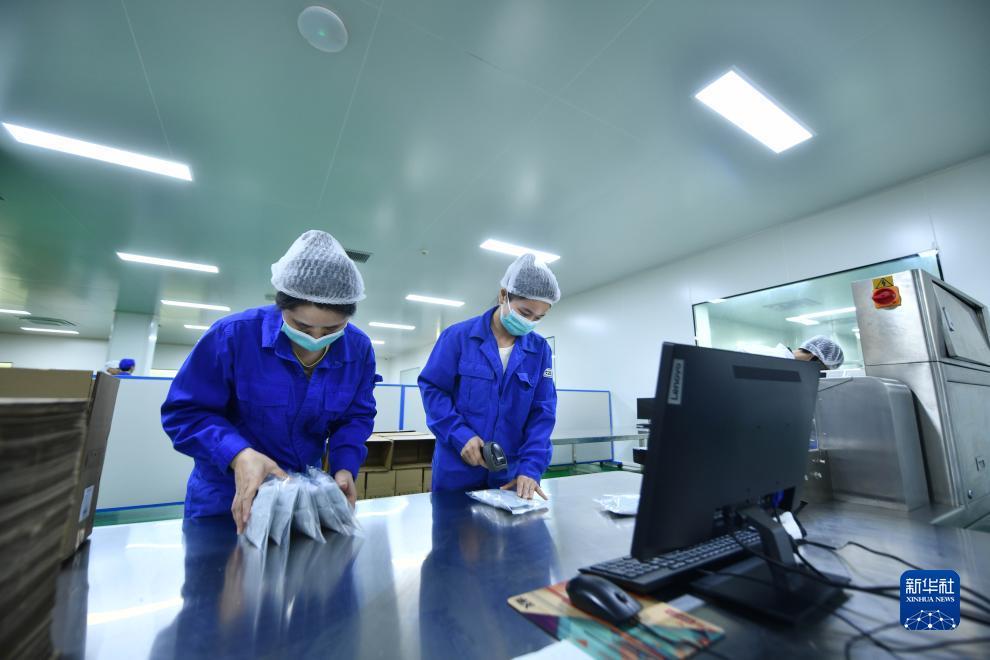 新捕鱼游戏机