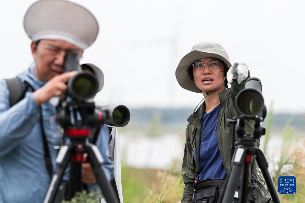 小游棋牌首页